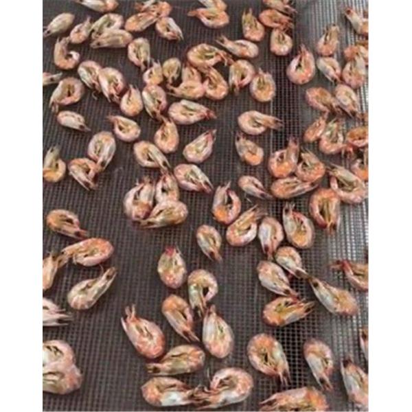 Good Uniformity Electrical MSD Microwave Drying Oven