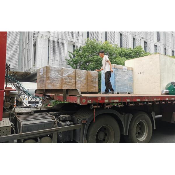 10 Chutes Macadamia Sorting Machine Toshiba 5400 CCD Sensor