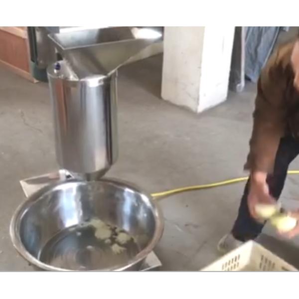 garlic/onion grinding machine, garlic/onion paste machine, garlic/onion mash machine,garlic/onion grater, garlic/onion polishing FDRY-500