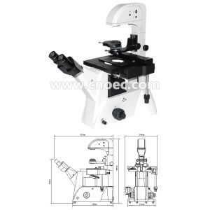 Infinity Objective Inverted Optical Microscope Phase Contrast Microscope Bright