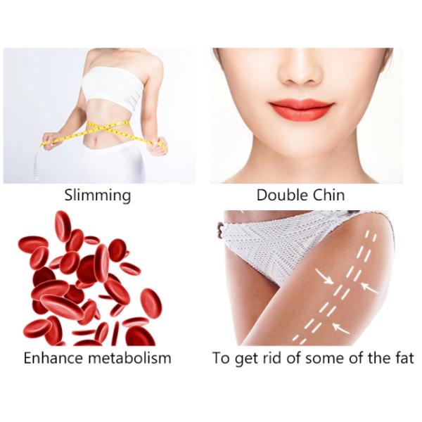 Portable 80KPa 8" Screen Cryo Slimming Machine
