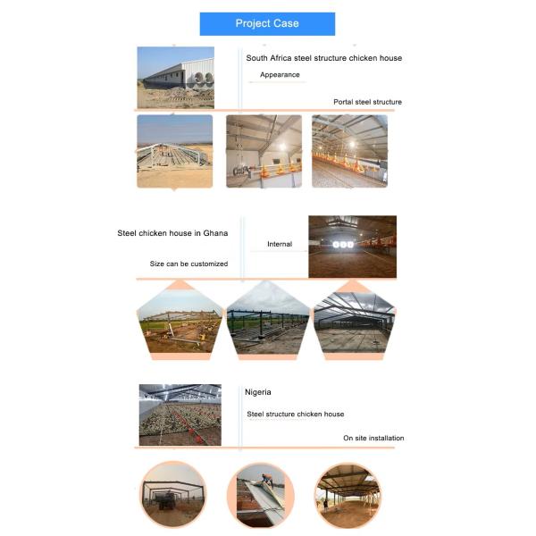 Complete Prefab House Solution Chicken Farming Industrial-Style Automatic Layer Broiler Poultry Cage System Steel for Warehouse