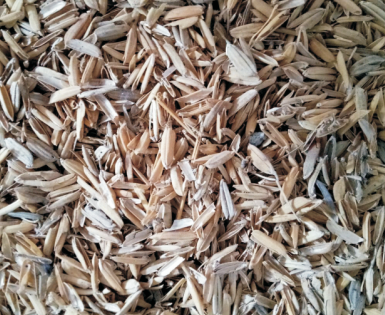 Continuous Carbonization Machine for Charcoal Production from Coconut Shell on Farms