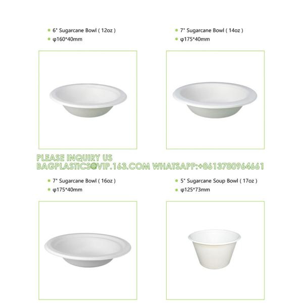 Biodegradable Disposable Compostable Sugarcane Bagasse Food Container Paper Pulp Bowl 12oz 24oz 32oz Round Salad