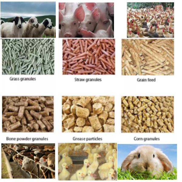 Diesel Engine Animal Poultry Livestock Feed Pellet Machine Feed Processing Mill
