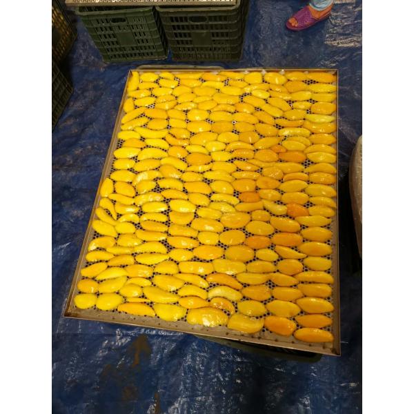Heat Pump Dryer for drying mango