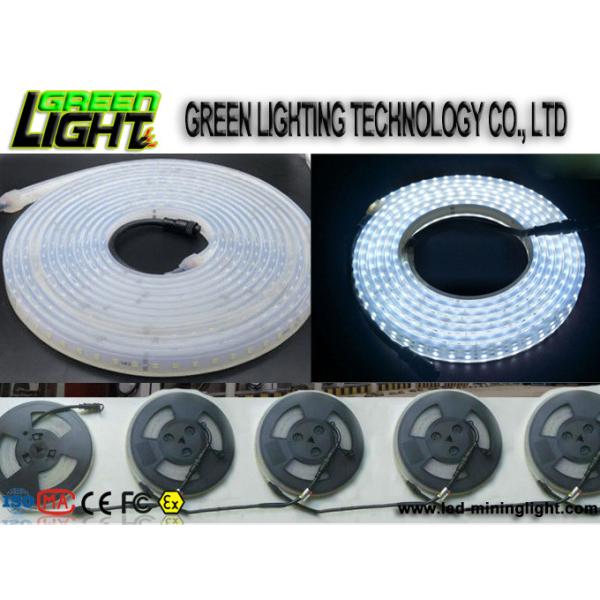 Silicone 12w Ip68 SMD5050 Flexible Led Light Strips