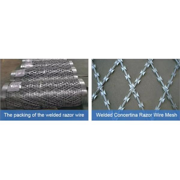 Temporary & Recyclable Easy-Install Hot-Dipped Galvanized Cross-Type Razor Wire Fence for Border / Factory Protection