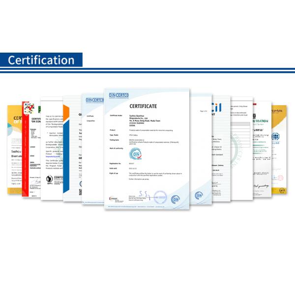 Sustainable CPLA Disposable Tasting Spoon Eco Friendly Mini