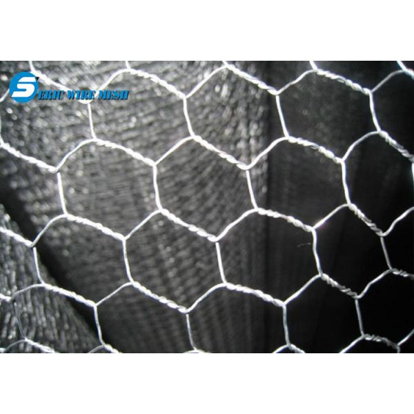 hot-dipped hexagonal wire mesh / welded galvanized gabion wire mesh / eric wire mesh
