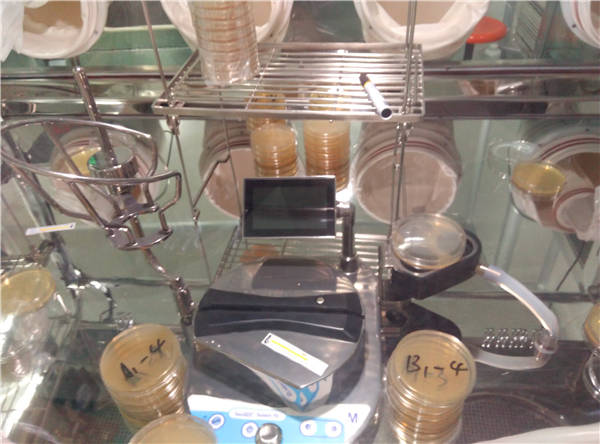 Pharmacy Membrane Filtration Transfer Isolator With Pre Chamber