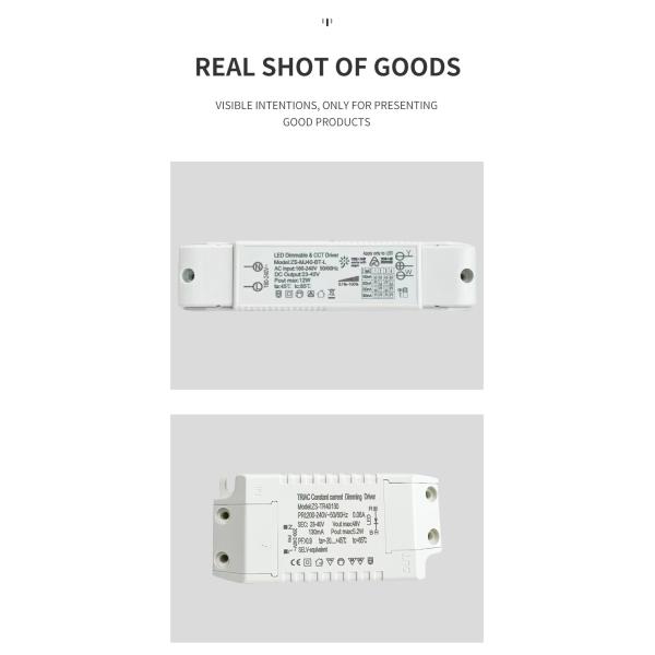 Wireless Intelligent LED Dimmable Driver Downlight Graffiti Bluetooth Two Color