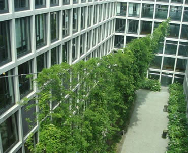 Stainless Steel Rope Mesh Green Wall