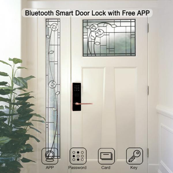 Wireless Smart Keypad Door Lock 300mm Home App Access Control