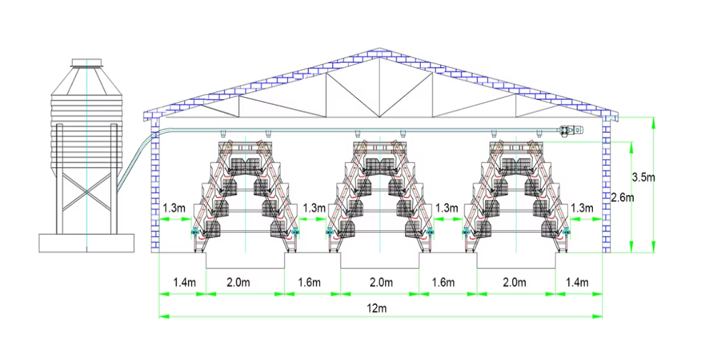 Layer Cage Structure Details