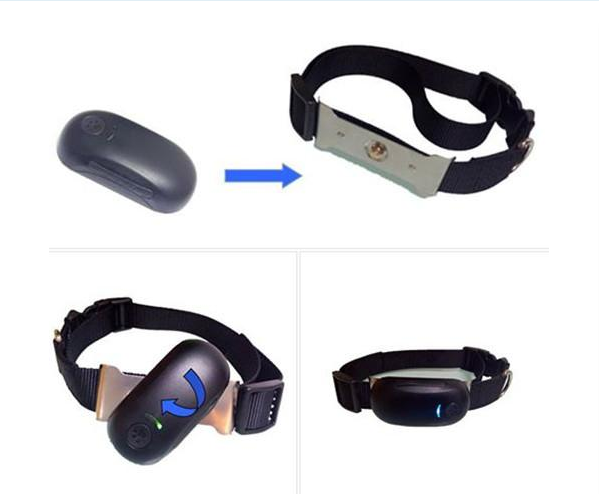 Small GPS Pet Tracker Dog Positioner Cat gps tracking Locator With Collar