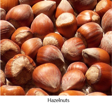 PX RGB Color Sorter AI Raisins Sorting Machine Image Recognition