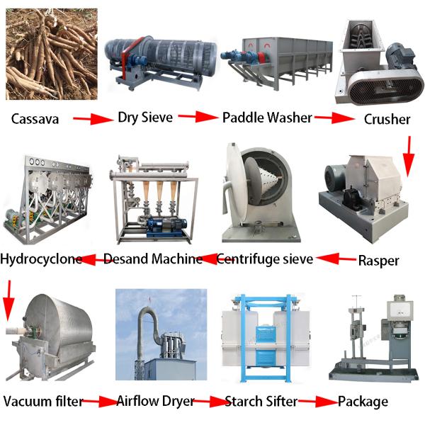 cassava3