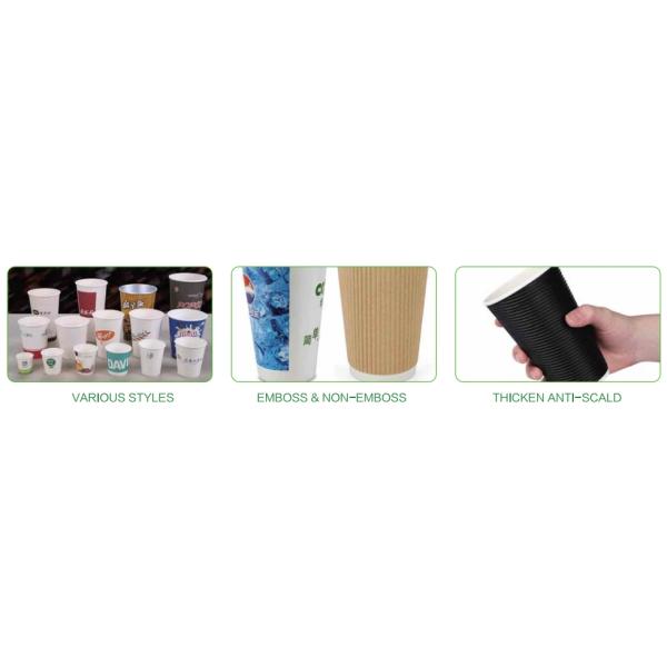 Biodegradable Plastic Free Craft Coffee Cup Degradable Double Wall Paper Cups Recyclable
