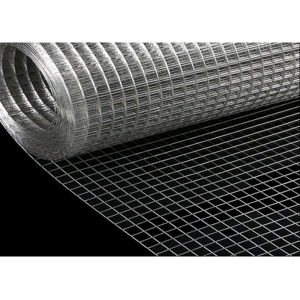 Breeding Net / Plastered 1x30m Ss Welded Wire Mesh