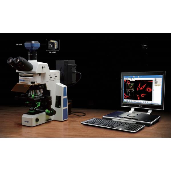 High Definition Inverted Biological Microscope Medical Field Large Numerical Aperture