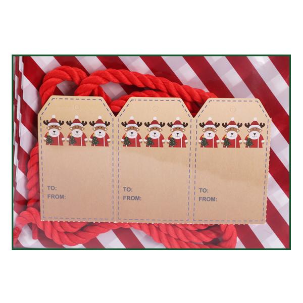 0.05mm Custom Plastic Gift Bags