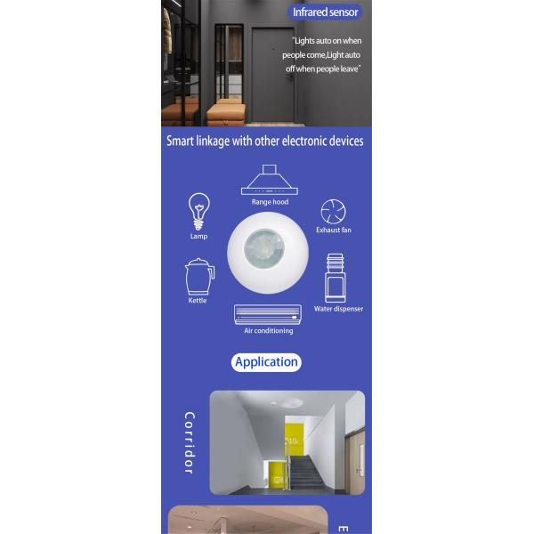 wifi switch with PIR sensor