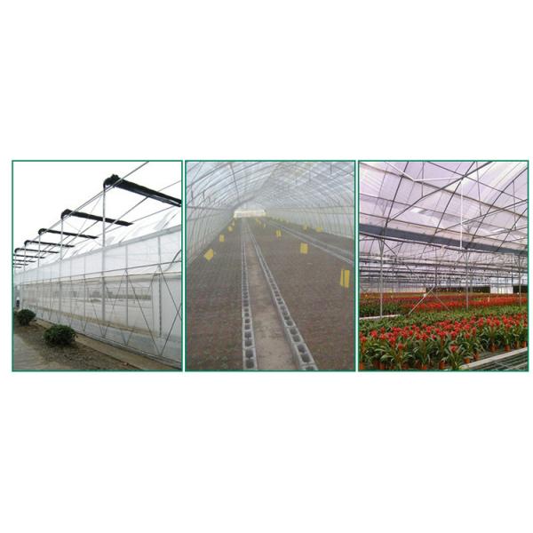 Good Quality Customized Farm Vegetable Protection Insect Mesh Insectproof Net