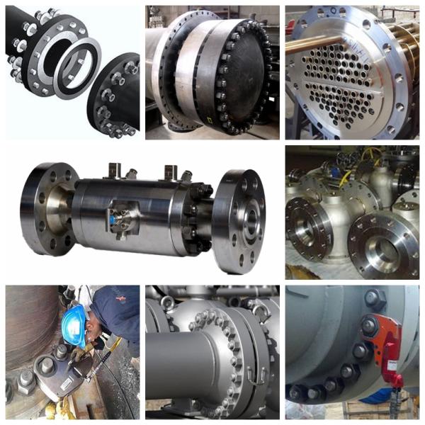WN Gr2 Titanium Flange , Welding Neck Flange DN10-DN600 RF Surface