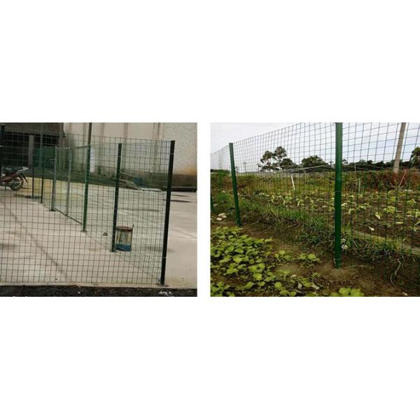 Galvanized Welded Steel Wire Mesh Fence Panel With PVC Coating