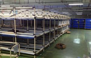 Quality PE Coated Steel Storage Rack Industrial Warehouse Storage Racks 85 Roller Track for sale