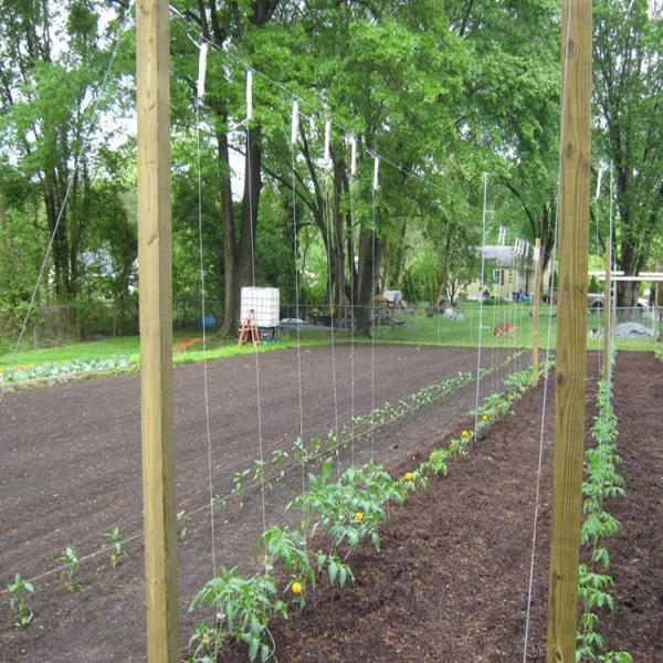 agricultural polypropylene twine