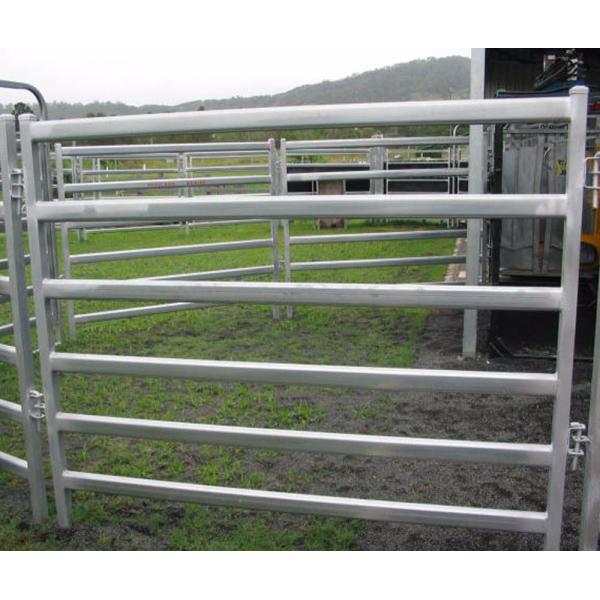 Cattle Fencing Panels 1.8m x2.1m