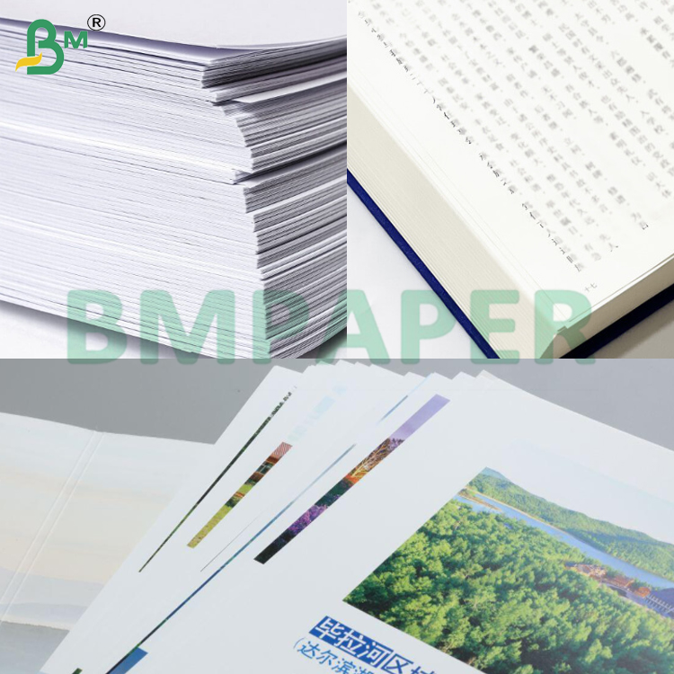 80gsm Light Weight Book Paper Jumbo Roll for Offset Printing