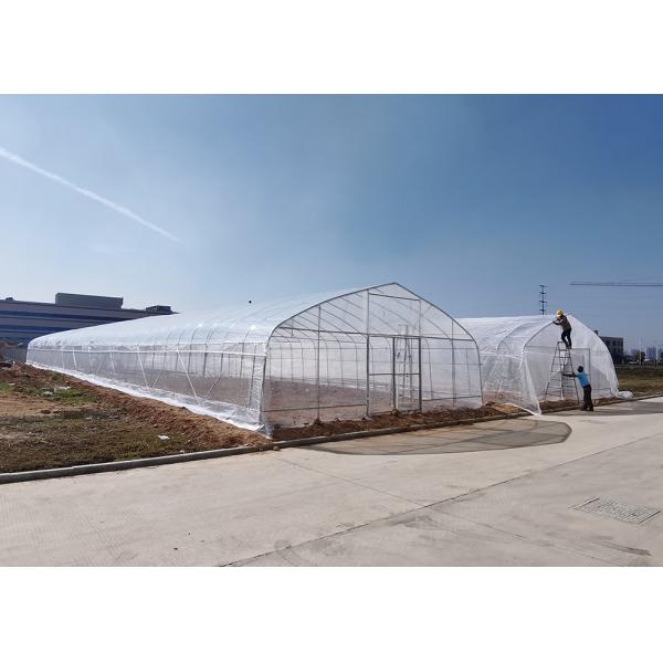 Single Span Greenhouse exterior view showing structure and covering materials