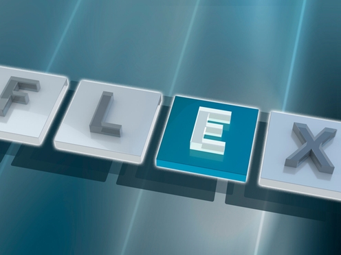 FLEX: Extended E+H FTM50-AGJ2K4A72AA Endress+Hauser Soliphant M Universal Point Level Switch