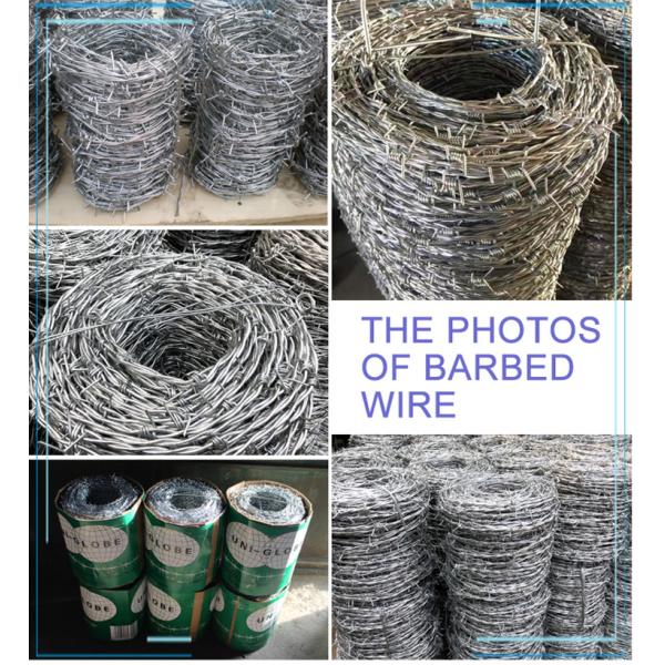 Oxidation Resistant Galvanized Barbed Wire Easy Assembled Long Use Life