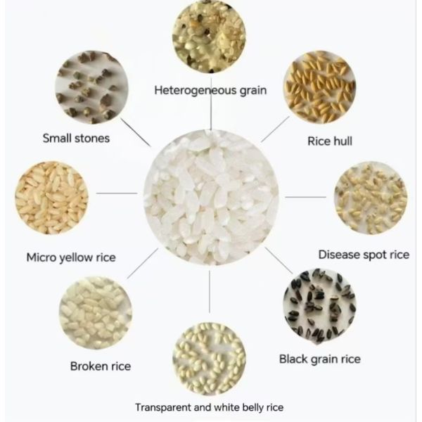 High recognition accuracy, capable of detecting subtle color variations like chalky and black-tipped grains