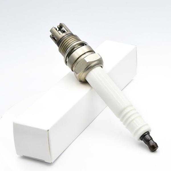 Replacement Engine Spare Parts Spark Plug for Jenbacher P7 382195