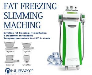 Quality Cryo Slimming SYSTEM Cryolipolysis Slimming Machine For Beauty Salon And Spa for sale