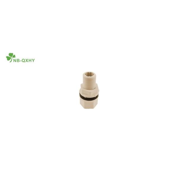 CPVC Fitting Socket Tank Connector with ASTM 2846 Standard and Thread End Connection