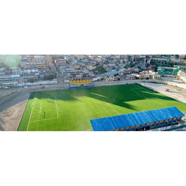 Realistic Look 60mm Height Artificial Soccer Grass Monofilament Structure