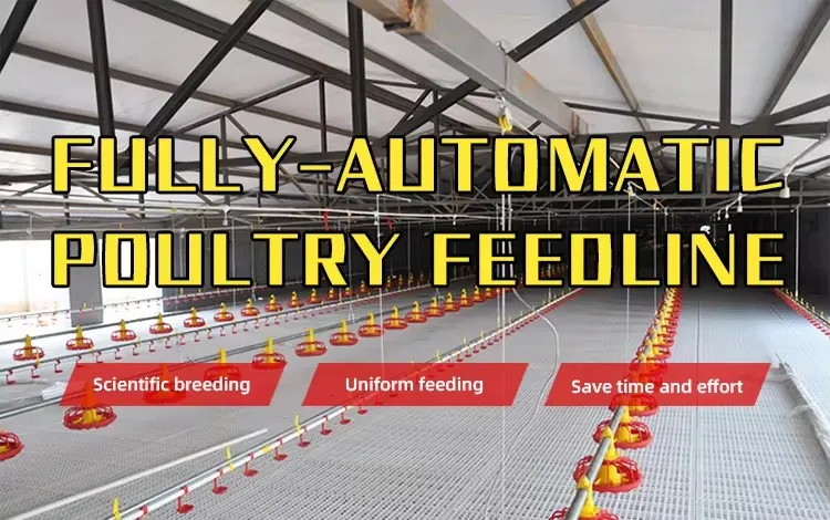 Easy Cleaning Smart Poultry Feeding And Drinking System For Chicken Broilers