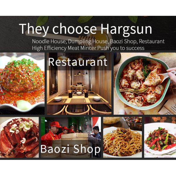 Multi Function Meat Grinder Machine Large Capacity Electric Mixer SS Fragmented Meat Machine