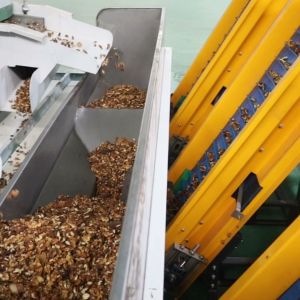 Deep Learning Nut Kernel Color Sorting Equipment Multi-Angle Camera 8 Lane High