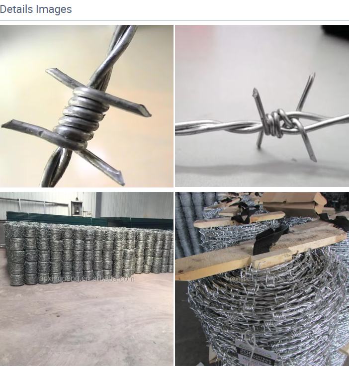 Hot Dip Galvanized Barbed Wire with 2.5mm Wire Diameter and Customizable Length for Secure Fencing