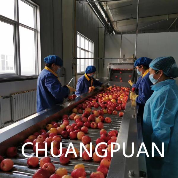 Automatic Tomato Paste Manufacturing Plant Auto Tomatoes Paste Producing Machine Factory Machines Equipment China Price
