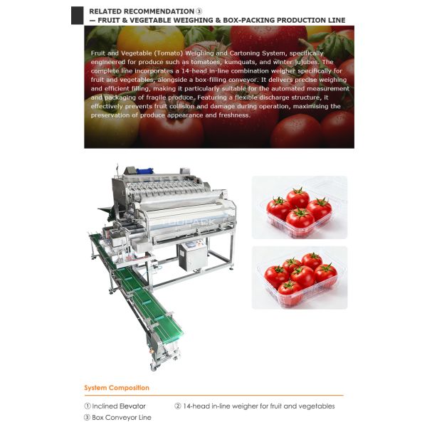 Automatic Plastic Box Weighing Filling Machine For Fruit And Vegetable