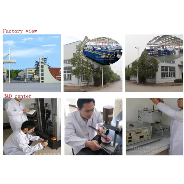 Co-Extruded WPC Outdoor Flooring WPC Material