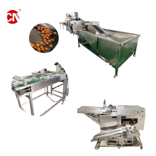 Small Egg Powder Making Pasteurization Machine Semi-Automatic Liquid Egg